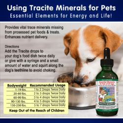 How to use Nzymes Tracite Minerals for Pets