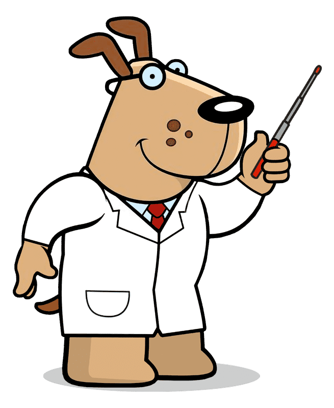 Dog-doctor