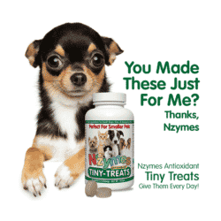 Antioxidant Tiny Treats 4-Pak - Image 4