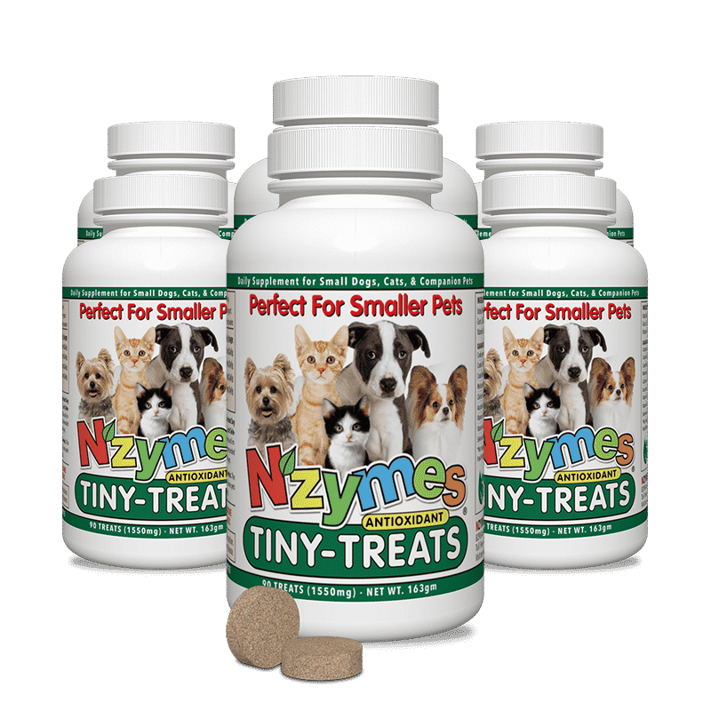 Tiny Treats 6-Pak