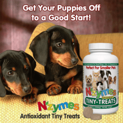 Get your puppies off to a good start with Nzymes tiny treats