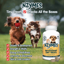 Tiny Treats all-around support