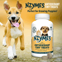 Tiny Treats Puppies