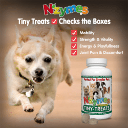 Antioxidant Tiny Treats