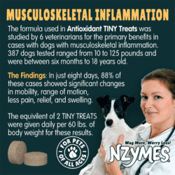 Veterinary Study on Treats