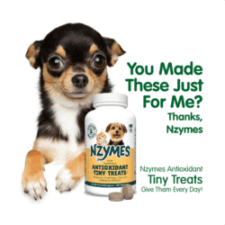 Antioxidant Tiny Treats for Pets - Image 4