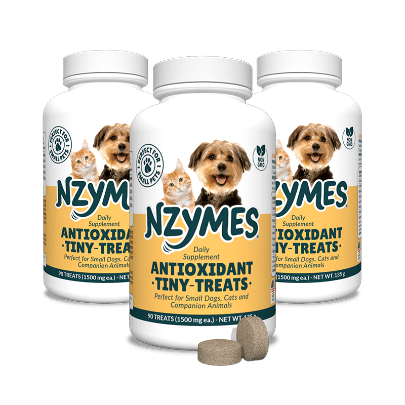 Tiny Treats 3-pak