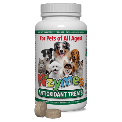 Nzymes Antioxidant Treats for Pets of All Ages