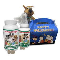 Nzymes Boo Box Special