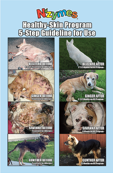 Healthy Skin Program for Pets by Nzymes