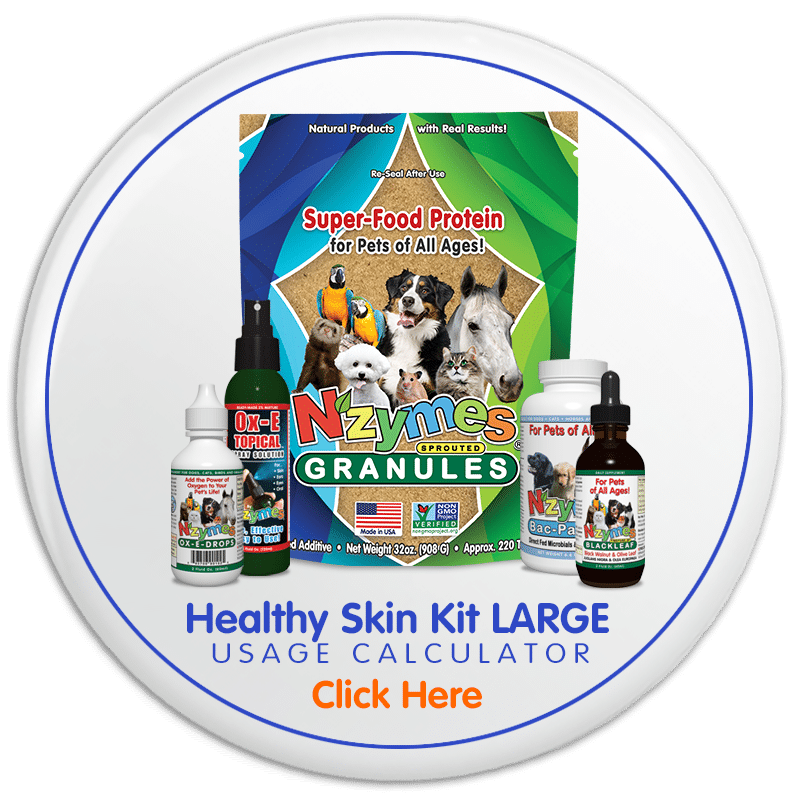 Healthy Skin Kit LARGE