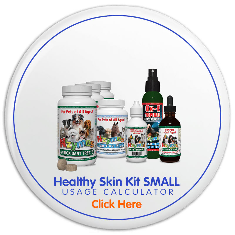 Healthy Skin Kit SMALL