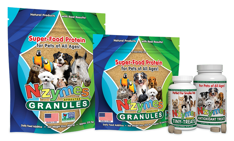 index-superfood-image-gp-gp1-p60-ptt90 Nzymes Superfood Protein Products for Pets