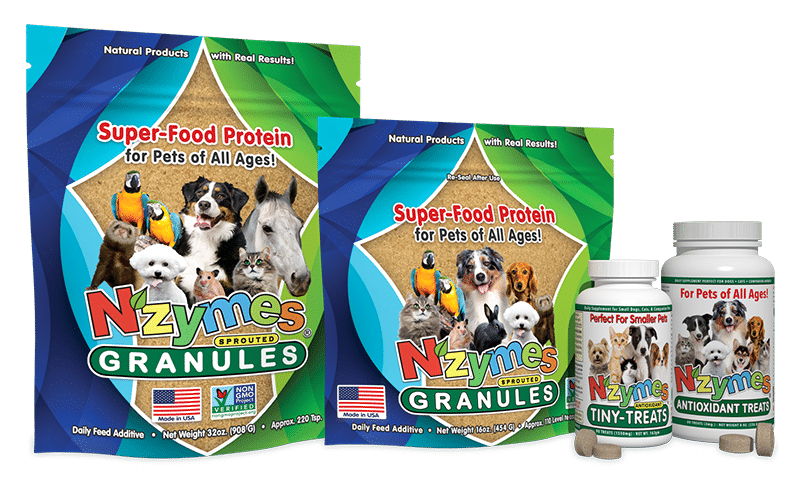 Nzymes Superfood Protein Products for Pets