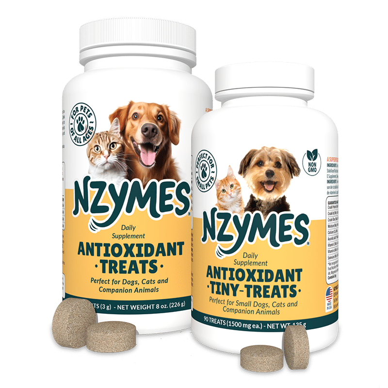 Best Dog Health Treats
