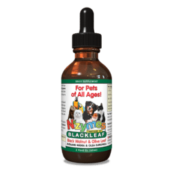 BlackLeaf Tincture for Pets