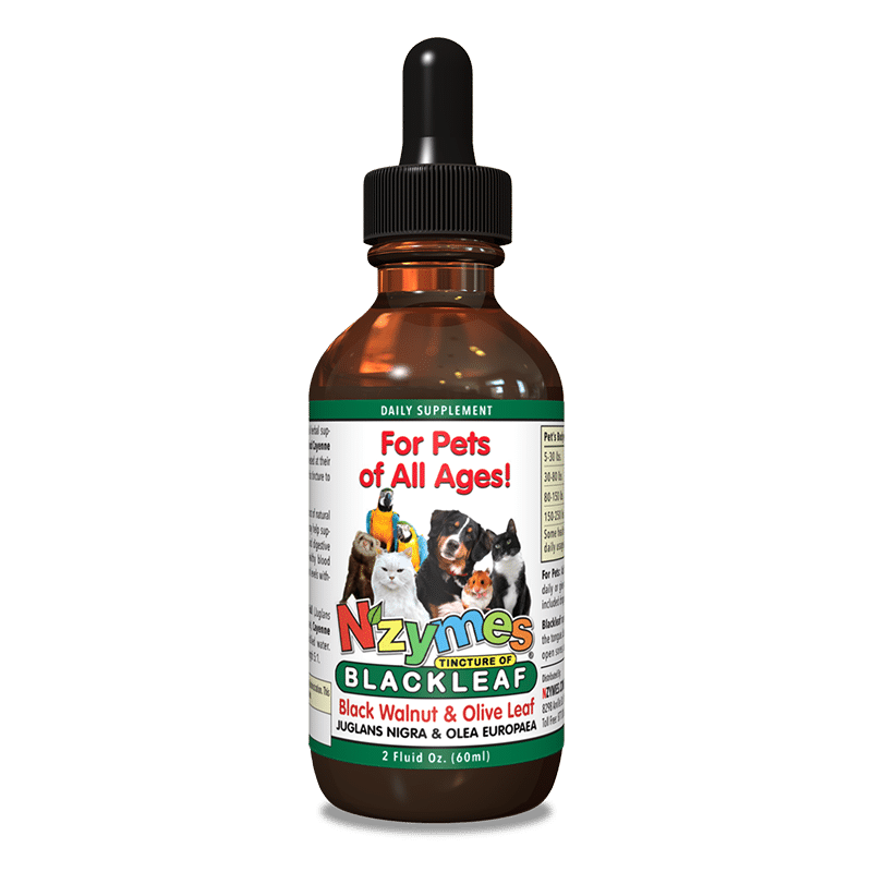 Nzymes Tincture of BlackLeaf for Pets