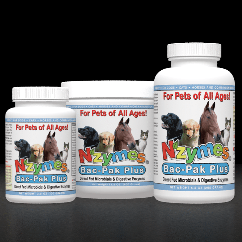 3 Sizes of Nzymes BacPak Plus Probiotic and Digestive Enzymes