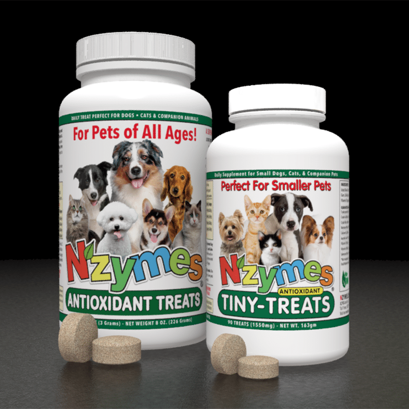 Nzymes Antioxidant Treats and Antioxidant Tiny Treats for Dogs of All Ages!