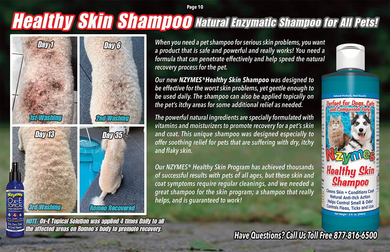 Nzymes Healthy Skin Shampoo for Pets of All Ages