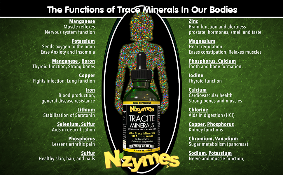 Nzymes Tracite Minerals - Mineral Functions and Benefits