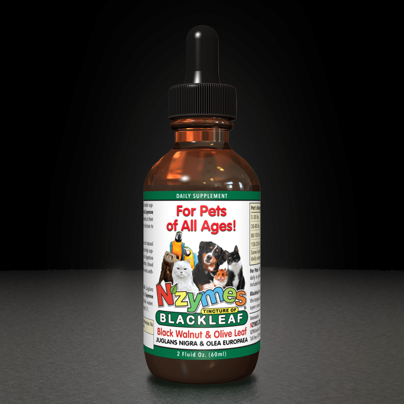 Nzymes BlackLeaf Tincture for Dogs of All Ages
