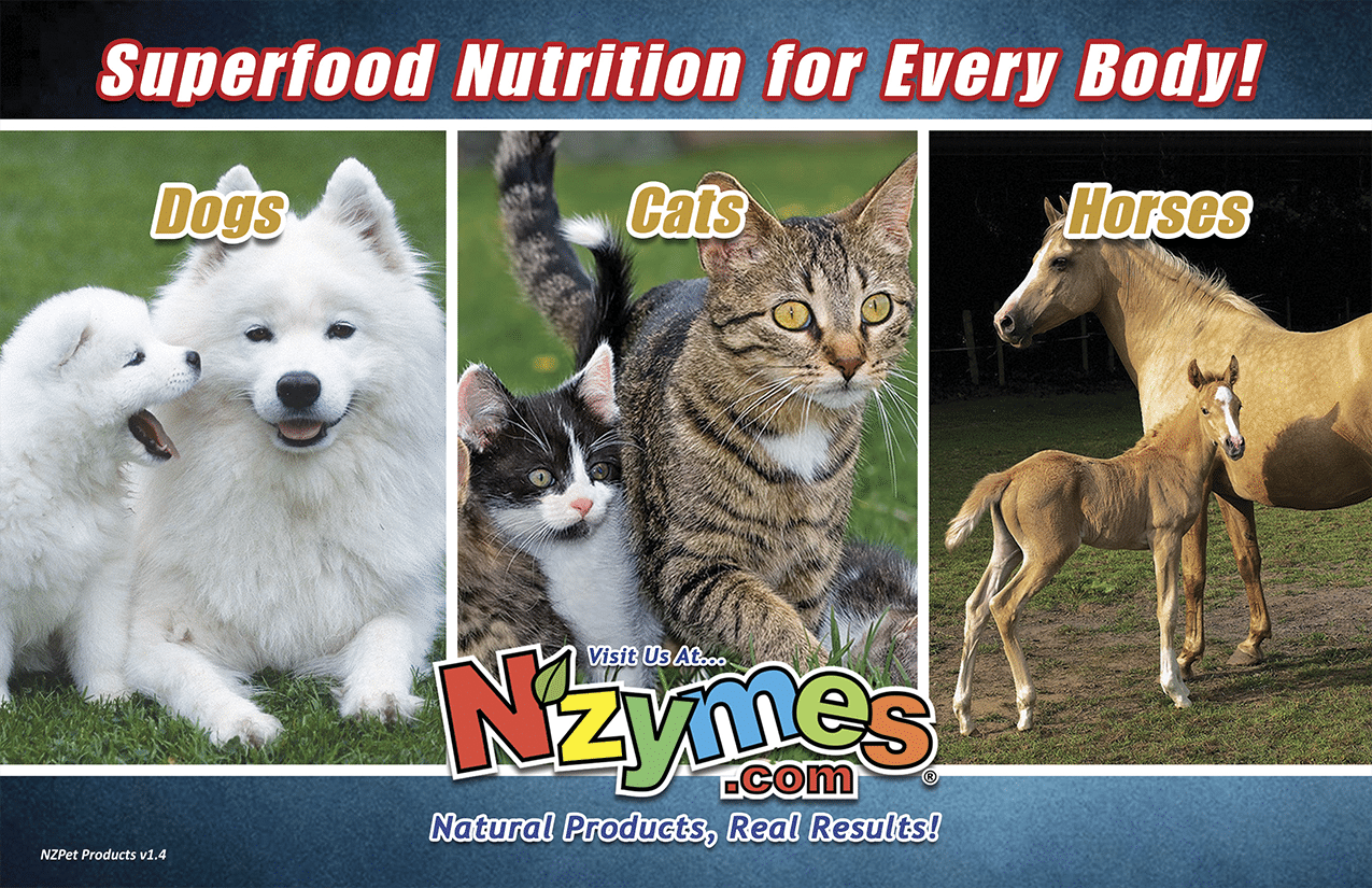 Nzymes Pet Products for Pets of All Ages