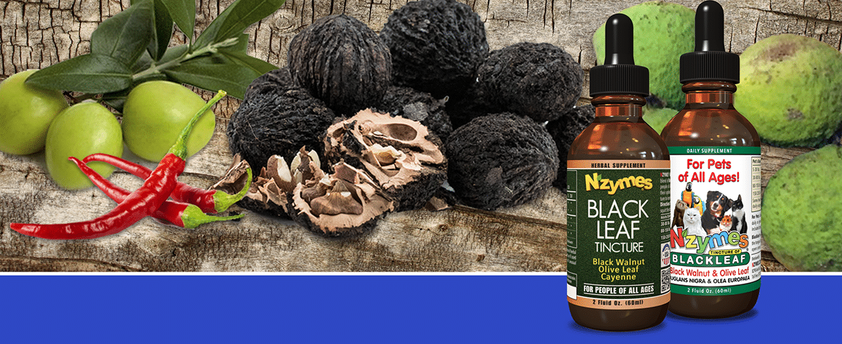 Nzymes Tincture of Blackleaf - Herbal Anti-parasitic Supplement for People and Pets