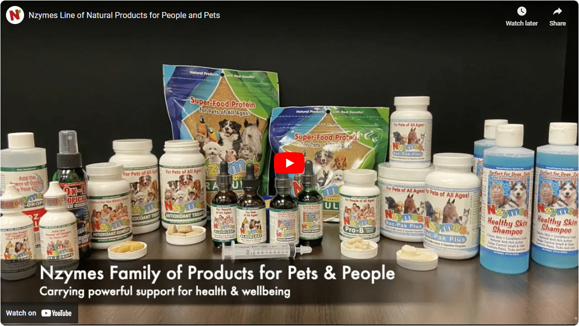 Nzymes products video