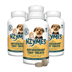 Tiny Treats 4-Pak