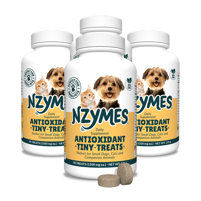 Tiny Treats 4-Pak