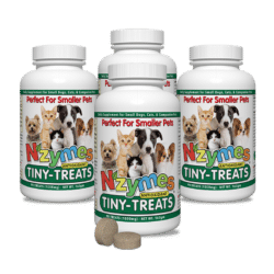 Tiny Treats 4-Pak