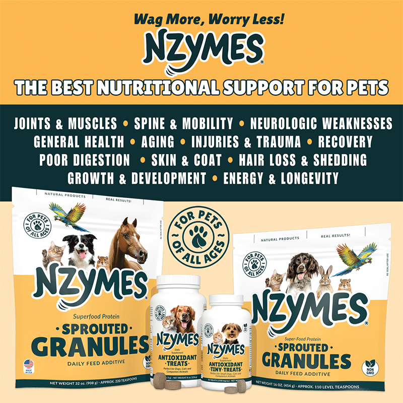 Superfood Protein Nutrition for Pets of All Ages