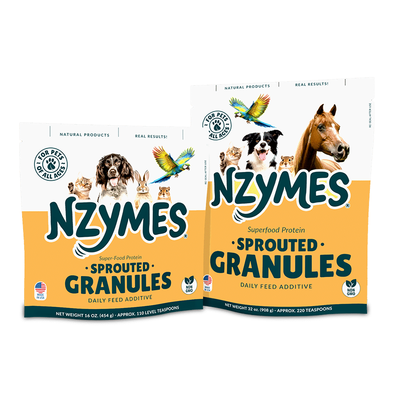Best Dog Health Supplement